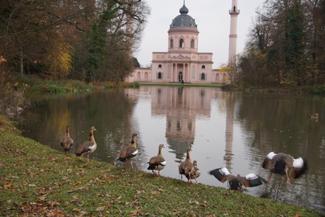 Schwetzingen