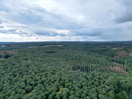 Steinbachtalsperre
