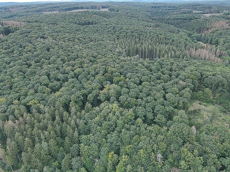 Steinbachtalsperre