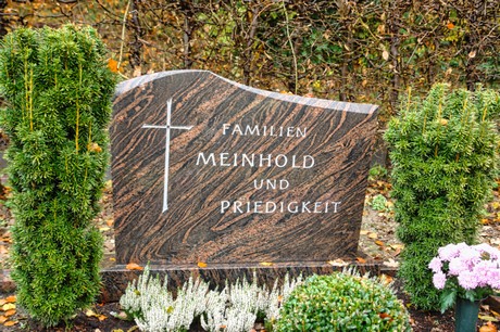 Steinbuechel