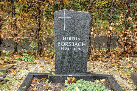 Steinbuechel