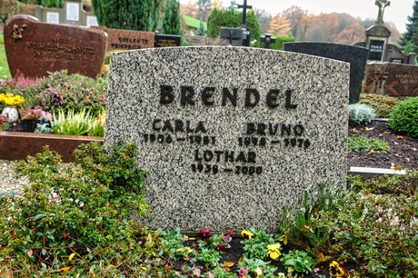 Steinbuechel