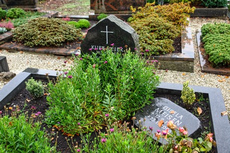 Steinbuechel