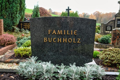 Steinbuechel