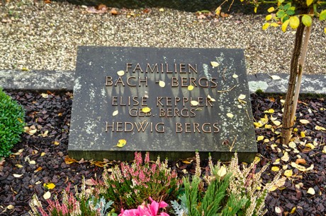 Steinbuechel