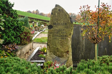 Steinbuechel