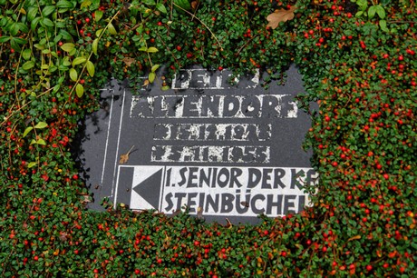 Steinbuechel