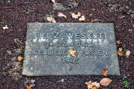 Steinbuechel