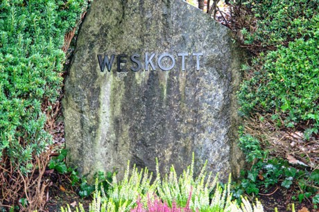 Steinbuechel