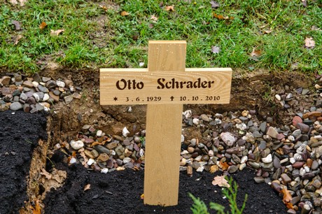 Steinbuechel