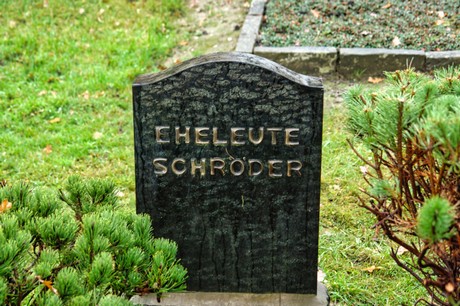 Steinbuechel