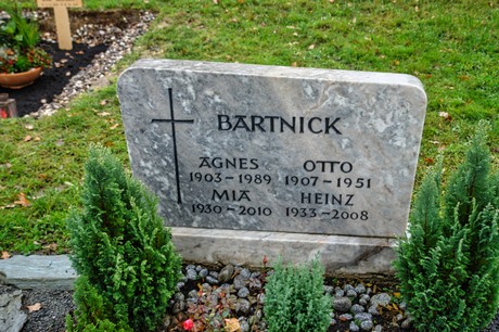 Steinbuechel