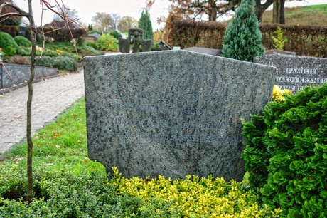 Steinbuechel
