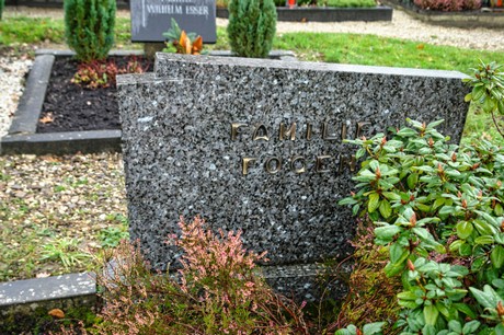 Steinbuechel