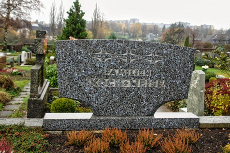 Steinbuechel