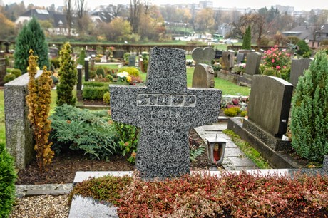 Steinbuechel