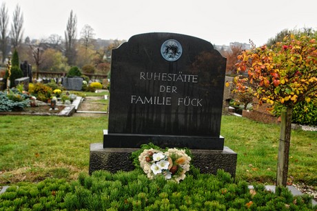Steinbuechel