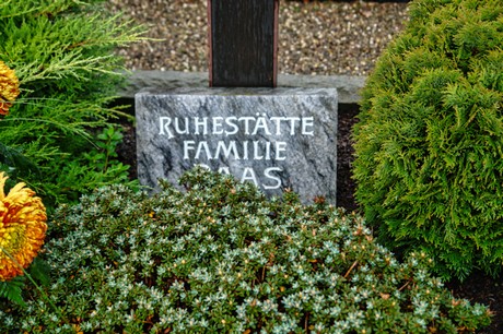 Steinbuechel
