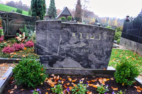 Steinbuechel