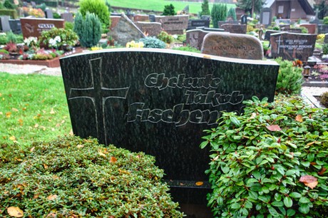 Steinbuechel