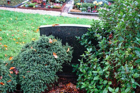 Steinbuechel