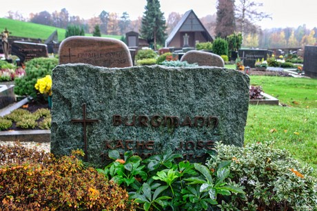Steinbuechel
