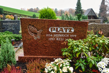 Steinbuechel