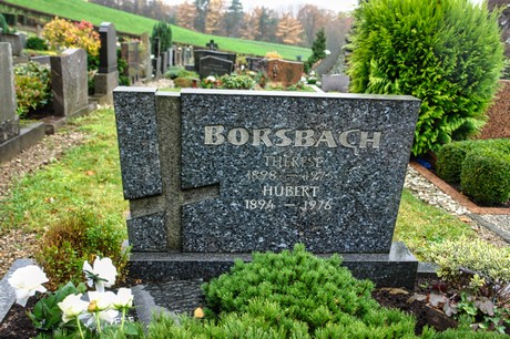 Steinbuechel