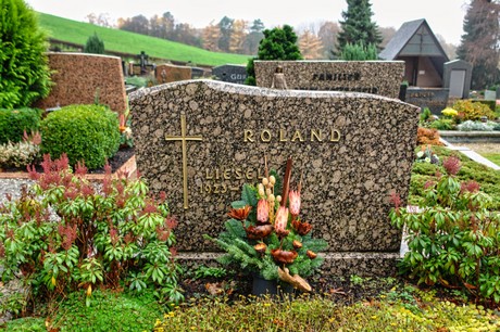 Steinbuechel