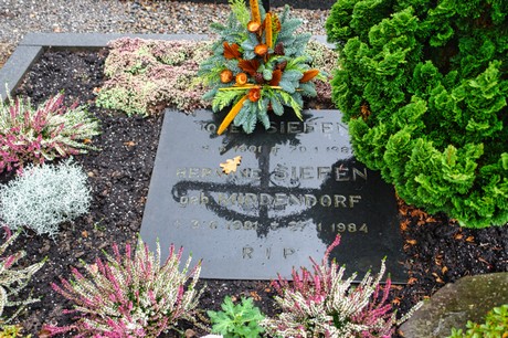 Steinbuechel