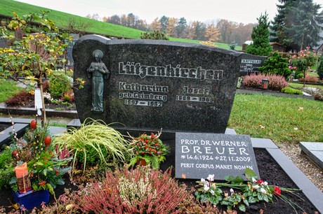 Steinbuechel
