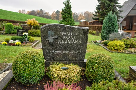 Steinbuechel
