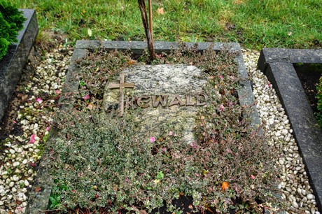 Steinbuechel
