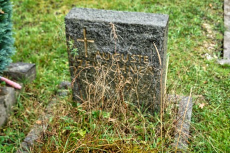 Steinbuechel