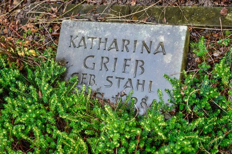 Steinbuechel