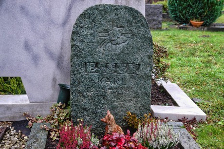 Steinbuechel