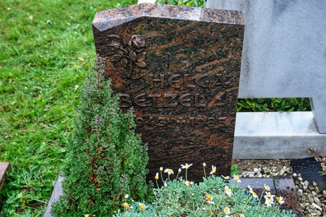 Steinbuechel