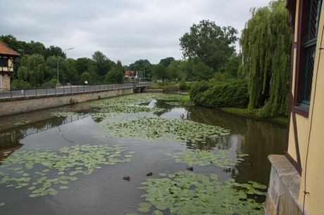 Steinfurt