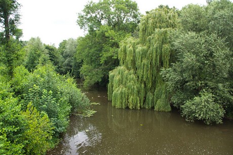 Steinfurt
