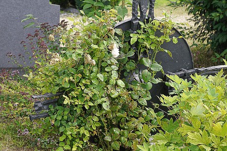 Stockheim