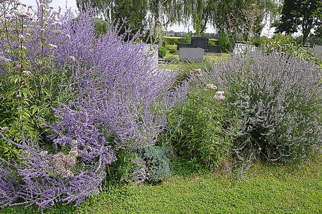 Stockheim