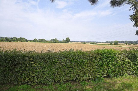 Stockheim