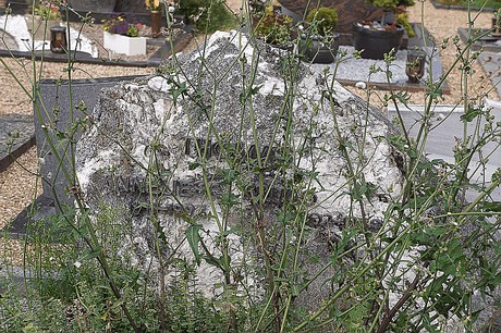 Stockheim