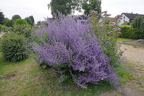 Stockheim