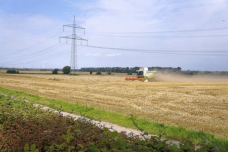 Stockheim