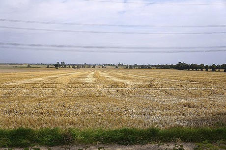 Stockheim