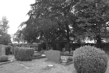 Strassfeld
