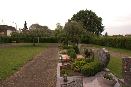 Strassfeld