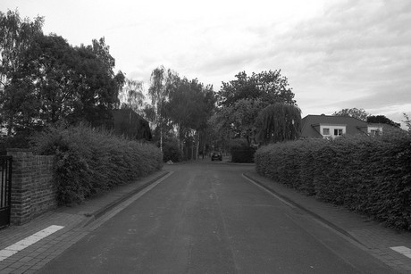 Strassfeld