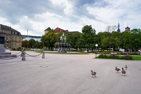 bilder